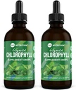 360 Nutrition Chlorophyll Liquid Drops with Peppermint Oil, GF & Vegan Body Internal Deodorant Supplement, Supports Gut Health, Digestione, Energia, Pelle Radiante, Assorbimento Veloce (4 Fl Oz (2 Conto)
