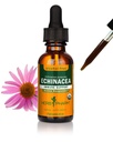 Estratto di radice di erbe Pharm Organic Echinacea, Alcohol-Free: Supporto di sistema immunitario per tutte le stagioni, Integratore di piante Echinacea ad azione rapida, Non OGM, Vegan & Gluten-Free, 1 Oz