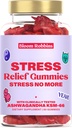 Ashwagandha Gummies - Stress Relief Gummies con Ashwagandha KSM-66 & Lemon Balm Extract - Stress Gummies & Calm Gummies con KSM-66 - Vegan Relaxation Ashwaganda Gummies (60count)