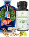OMNIBREATHE - Problemi di respirazione rapida improvvisa di NAC 600MG Formulato scientificamente w. Quercetin/Mullein/Coq 10/Ginger/Stinging Nettle/Bromelain,3 volte w. Meal (10-Day Supply to Boost)