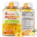 Ginger Chews Gummies for Nausea & Digestive Support, Stomach Relief - Sugar Free with Turmeric & Odorless Garlic, Quercetin, Vitamina D3, C, Delicious Digestive Supplements, 60Cts (Pack of 1)