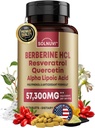 Supplemento berbino Premium con acido lipoico alfa di resveratrolo - 50:1 Complesso di berberi HCl Antiossidanti potenti, polifenoli, vitalità Boost - 90 compresse vegane, non OGM, senza glutine