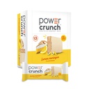 Barrette di Wafer Proteine di Crunch di Potere, Snack di alta proteina con Gusto Delizioso, Meringue di Limone, 1,4 oncia (12 Conte)