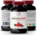 integratore antiossidante per le donne - HAWTHORN BERRIES EXTRACT - integratore di estratto di biancospino, supplemento di bacche, bacche antiossidanti, energia di bacca selvatica, pillole di energia di biancospino per la donna 1 Bot 60 capsule