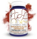Nootropics Depot Cistanche Supercritical CO2 Extract Capsule | 20% Echinacoside + 20% Verbascoside (Acetoside) | 60 Count