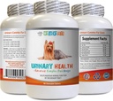 Incontinenza urinaria del cane - Formula di salute urinaria del cane - aiuta con incontinenza e problemi della vescica - Boost immunitario - Capsule di seta di mais per cani - 1 bottiglia (90 Trattamenti)
