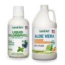 Land Art Aloe Vera Gel Bevibile - Arancione Tangerine Aromaed - Cold-Processed - Foglie fresche biologiche - 64floz + Liquido Clorofilla Mint Aromaed - Freddo Estratto da Wild Non-GMO Alfalfa - 16floz