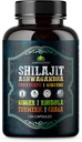 Shilajit per gli uomini – 8-in-1 Supplemento adaptogenico con Ashwagandha, Cordyceps, Ginseng, Rhodiola, Turmeric, Chaga & Ginger – Energia naturale, Sostegno Stress e Immune – 120 capsule vegane