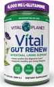 Vital Planet - Vital Gut Rinnova Polvere Supplemento per Leaky Gut Riparazione con L-Glutamina, Marshmallow e Ginger Root, DGL Radice di liquirizia e Organic Aloe Vera, L Glutamina 6000mg 13.76 oz