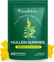Gummie di Mullein per la pulizia polmonare, Mulleina naturale per il supporto di pulizia polmonare, Cleanse polmonare per fumatori, Integratori di erbe di Mullein con clorofilla (60 Chews)