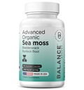 Organico irlandese Moss del mare, Bladderwrack & Burdock Root Supplemento 1405mg, 60 Veg Capsule - Immune Booster, Gut Health, Skin Detox & Joint Support (60 Conteggio (Pack of 1))
