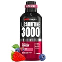 ProSupps L-Carnitine Liquid 3000, Stimulant-Free Liquid Shots per Uomo e Donne - Bevande di allenamento pulite per energia, Performance & Muscle Recovery - No Sugar, No Carbs - 31 Serve, Berry