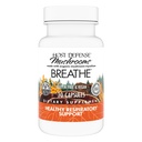 Integratore di funghi per il supporto immunitario e respiratorio - Integratore di salute polmonare a base di erbe con Chaga, Reishi & Cordyceps - 30 capsule (15 Serve)*