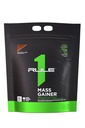 Regola 1 Gainer di massa proteica - Formula di guadagno di peso ad alto contenuto calorico con 1,220+ Calorie, 250g+ miscela di carburo complesso, 40g proteine per porzione di proteine per uso alimentare (16 Serve, Fudge di cioccolato)