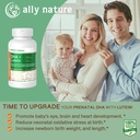 Vegan Prenatal DHA 440mg – Lutein 20mg Per Gravidanza – Multivitamina Prenatale Non OGM per le donne incinte- Supporto cervello sano, occhio e cuore nello sviluppo del bambino - 60 Softgels