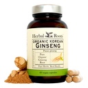 Radici di erbe Panax Ginseng | Polvere di radice di Ginseng coreana organica | 1000mg | Ginsenosides elevati per energia e prestazioni | 60 capsule vegane