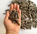 Pellets di barbabietola intelligente per l'alimentazione - Cavallo, Pony, Goat, Mangime per bovini - Buono per la salute del cervello e dolcificante naturale (12 once)