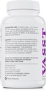 BELDT Labs VASST Nitric Oxide Booster, N.O. Supplemento con oltre 3.000 mg di Arginina-AKG, OKG, GKG e L-Arginina HCL per la costruzione del muscolo e la vascolarizzazione migliorata - 90 compresse
