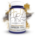 Maca Extract Capsule | 5% Macamides | Lepidium meyenii | Mood, Energy e Vitality | 60 Count