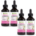 Estratto di radice di valeriana Maxx Herb - Max Strength, Assorbenti di radice di valeriana liquido Meglio di capsule, per il relax e sonno riposante, senza alcool - 4 bottiglie, 4 Oz Ogni (240 Serve)