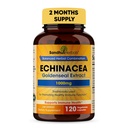 SANDHUHERBALS Sandhu Herbals Echinacea Goldenseal 1000 Mg 120 capsule | Sistema immunitario Supporto Respiratorio Risposta Integratore di risposta infiammabile