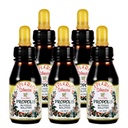 Distributore ufficiale - 5 Bottiglie di Apiario Silvestre Green Bee Propolis Liquid Glycolic Extract-Non Alcoholic, Wax Free, Sugar Free (PG)