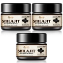 Shilajit Pure Himalayan Organic Shilajit Resina - 600mg Massima potenza naturale Shilajit Resina con 85+ Trace Minerals & Acido Fulvic per l'energia, Supporto immunitario, 30 Grammi (3 Confezione)
