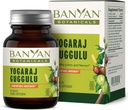 Banyan Botanicals Yogaraj Guggulu – Integratore di supporto misto organico -- Miscela ayurvedica per il supporto dei sistemi scheletrico e neuromuscolare* – 90 compresse – Non OGM, Sostenibilmente Sourced, Vegan