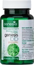 Genesi LABORATORIES Integratore probiotico con Bifidobacterium spp. 250 mg 30 capsule Supporto immunitario Probiotici per la salute digestiva Anti Bloating per uomini e donne Gut Restore Probiotici