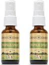 Miele Giardini Bee Propolis Throat Spray | con Apitherapy Raw Honey, Radice di liquirizia e Usnea | 50 Servings | 1 Fl Oz | Confezione di 2