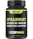210 Capsule - Integratore con Foglia di Oliva, Radice di Zenzero, Pepe Nero & More - Formula combinata per la salute della digestione, Salute respiratoria, Immunità & Positiva