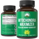 Mitocondria Maximizer con CoQ10 e Active PQQ. Miglior integratore di supporto mitocondriale con olio MCT. Generatore cellulare naturale per pulito, concentrato di energia 60 capsule vegetariane