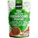 Wixar Mushroom Powder - Ten Treasure Mushrooms Extract Blend Supplemento per Caffè & Smoothies - Lions Mane, Tail Turchia, Reishi, Chaga, Shiitake, Cordyceps, Complex - 4oz Mushroom Supplement