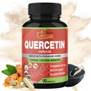 Estratto di Quercetina di Cadane organico, 90capsules, 3 mesi di fornitura con Quercetina, curcumina di curcuma, Berberina, ortica, polvere di seme nero, pepe nero.