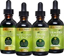 Go Nutrients Digestion & Detox Bundle – clorofilla liquida, bordo del fegato, bordo intestinale, esilio currico – Supporta la pulizia, la digestione, la salute del fegato e la difesa del corpo, Rivitalizzare la pelle &Vitality