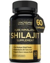 Atlantis Nutrition Himalayan Shilajit capsule formulato con 20% acido Fulvic | 10:1 estratto che fornisce 10.000 mg D.H.E. | USA Made | Himalayan Shilajit Supplemento per gli uomini e le donne | 60 capsule
