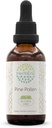 Polline di pino di HerbEra B60 Alcohol Tintura di Estratto di erbe gratuito, gocce di liquido concentrate Natural (Song Hua Fen, Scots Pine, Pinus Sylvestris) 2 fl oz