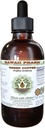 Estratto di liquido senza alcool di caffè verde, caffè verde (Coffea Arabica) Dried Bean Glycerite Hawaii Pharm Natural Herbal Supplement 4 oz