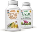 ANDREW LESSMAN PC fegato e cervello benefici + fegato antiossidante estratti Kit: 300 capsule (180+120) - Phosphatidyl Choline, cardo di latte, carciofo, curcumina.