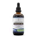 Segreti della Tribe Tongkat Ali Alcohol-Free Liquid Extract, Wildcrafted Tongkat Ali (Eurycoma Longifolia) Dried Root (4 FL OZ)