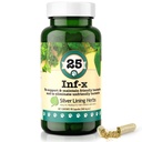 Silver Lining Herbs 25 Canine INF-X - aiuta a mantenere livelli di digestione sana - Supporto naturale per il processo di disintossicazione normale - Integratore di salute di erbe per cani - 90 capsule