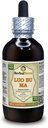 Luo Bu Ma, Dogbane (Apocynum Venetum) Tintura, Estratto liquido di foglia secca (Nome: HerbalTerra, Proudly Made in USA) 4 fl.oz (120 ml)