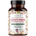 Plant.O Premium Lion's Mane Supplement, Tutti Natural Nootropics Brain Supplement, 5 Mushroom Complex – Lion’s Mane, Reishi, Chaga, Maitake, Shiitake per Immunità, Focus, Mood & Memory Boost, 90 Caps