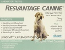 Canina di risvantaggio