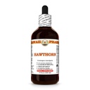 Estratto di biancospino, tintura per il benessere del cuore, Supporta la Circolazione, Promuove l'equilibrio lipidico, Ricco antiossidante, Migliora la resistenza immunitaria - 4 fl.oz