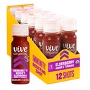 Vive Organic Immune Support Elderberry Shot, Turmeric & Ginger, Gluten Free, Vegan, Immunity Boost Elderberry, 2 Fl Oz (Pack of 12)