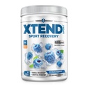 XTEND Sport BCAA Polvere Blue Raspberry Ice - Polvere di elettrolita per il recupero e l'idratazione con aminoacidi - 30 Serve