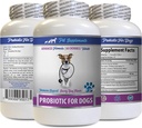 Enzimi digestivi del cane Polvere - PROBIOTICS per cani - Gut sano - Stop gas diarrea e cattivo respiro - Boost digestivo - probiotici per cani - 1 bottiglia (60 trattati)