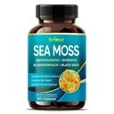 Premium Sea Moss con Ashwagandha, Burdock Bladderwrack, Black Seed for Immune System, Skin, Digestion & Energy- Made in the USA (150 Count (Pack of 1))