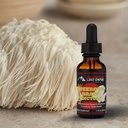 Erbe dell'impero perdute Brain Spagyric Tincture | Dual Extract of Lion's Mane, Cordyceps, Reishi, Oyster Mushrooms for Cognition (1 fl oz)